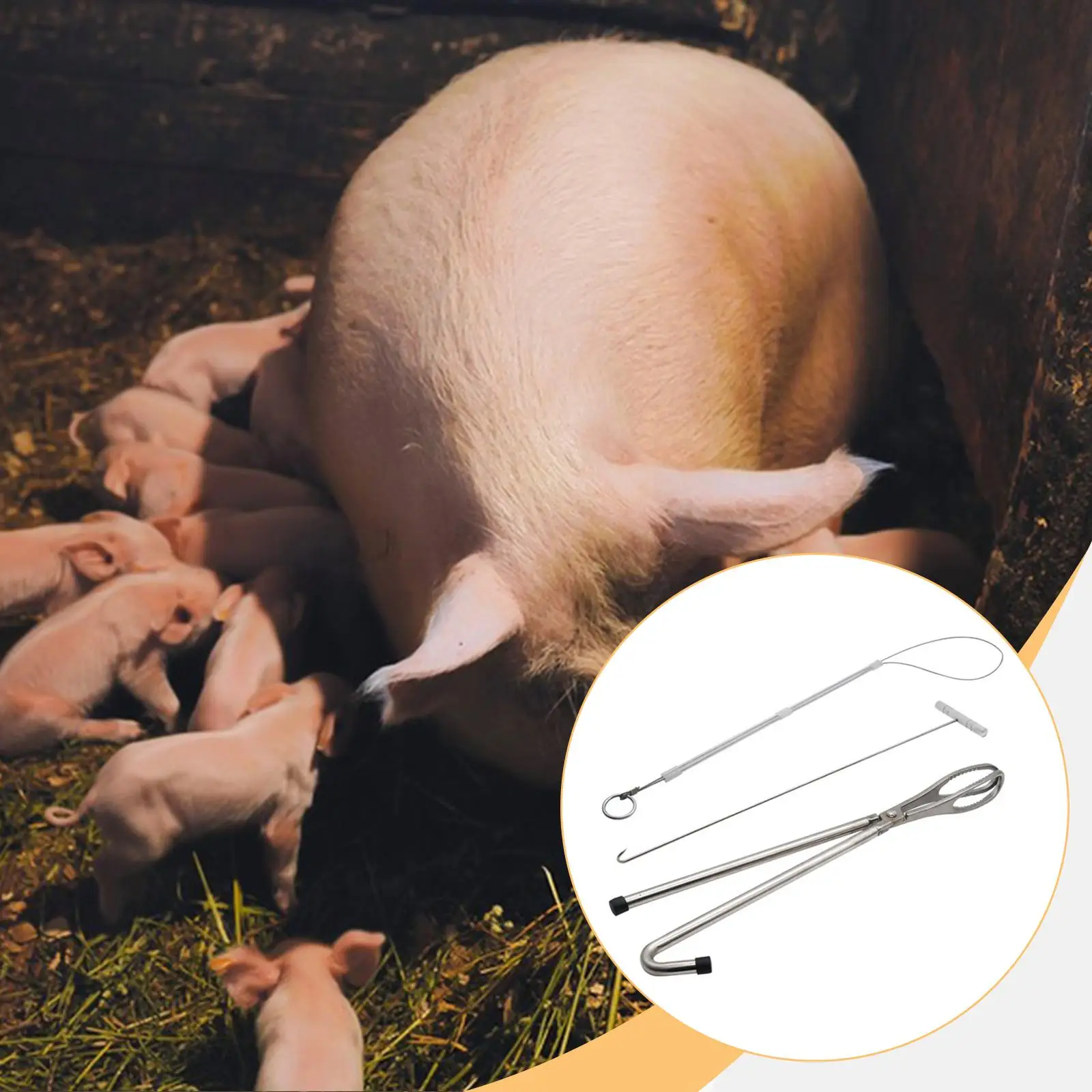 Complete Stainless Steel Pig Midwifery Tools Set Veterinary Device for Cow Goat Sow Birthing Farm Use