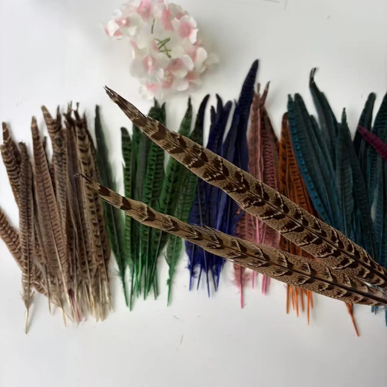 Natural Hen Pheasant Tail Feathers 25-30cm 10/20/50Pcs for DIY Craft Jewelry Making Festival Headdress Wedding Home Party