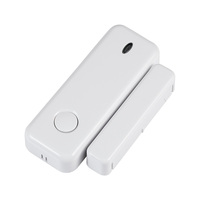 D10 Window Door Sensor Alarm 433MHz Wireless Magnet Sensor Detector Burglar An-theft For G20 G30 Home Security Alarm System