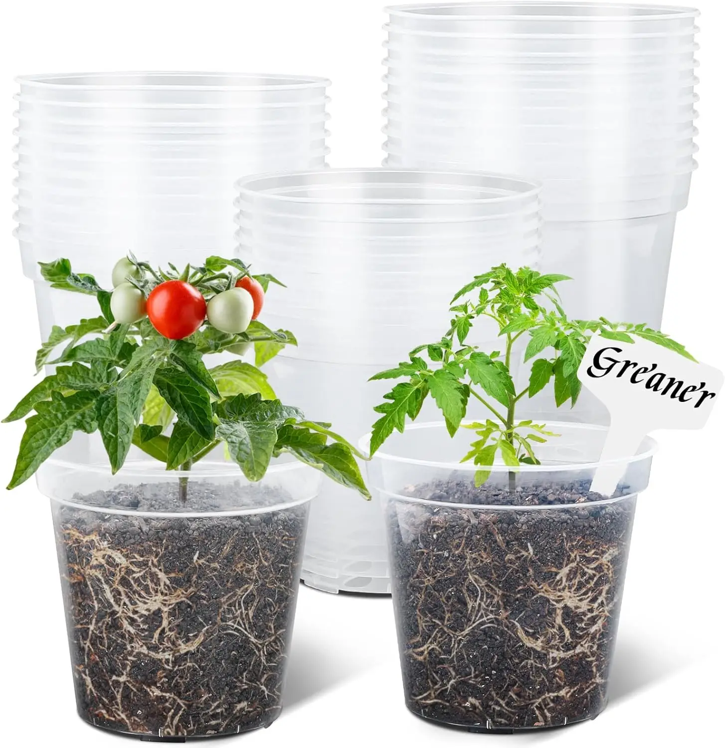 

5 Inch 30 Packs Clear Plant Pots, Transparent Plastic Plant Pots for Indoor Outdoor Plants, Nursery Pots & Seed Starting