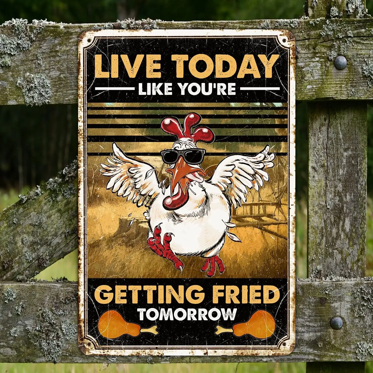 Vintage Tin Signs Kitchen Chicken Live Today Like You're Getting Fried Tomorrow Farmhouse Vintage Metal Sign Tin Sign Plaque