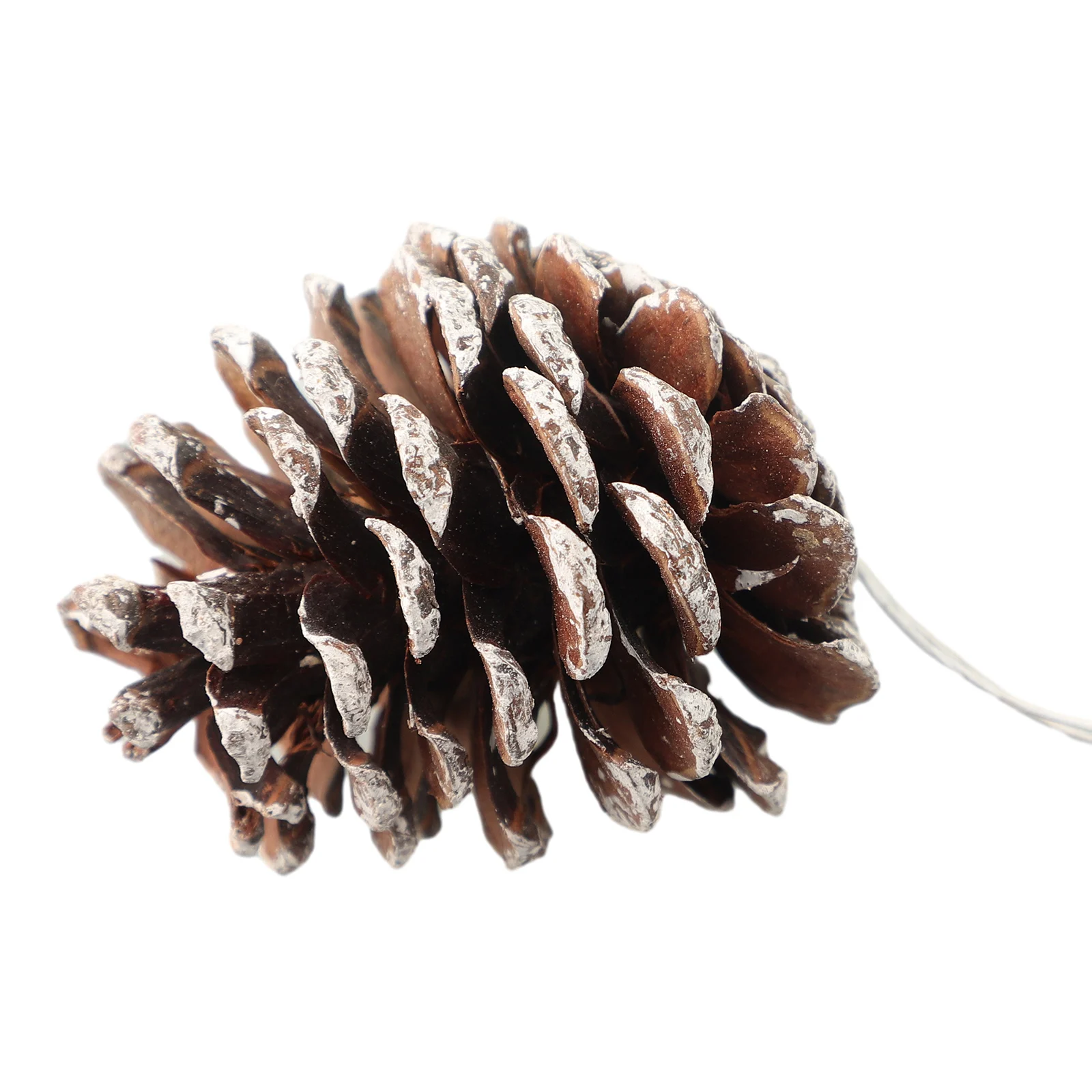 Christmas Decoration Fake Pine Cone Bedroom Garden Home 6pcs Craft Making DIY Easy To Carry Exquisite Natural Small - Detail 1