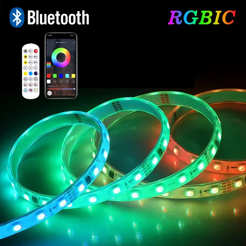 

110V/220V Dream Color Smart Bluetooth LED Strip Light Remote Control RGB Tape Waterproof Led Ribbon Outdoor Lighting Decoration