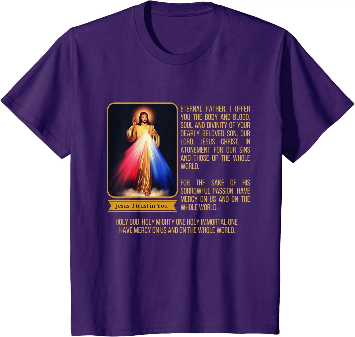 Divine Mercy Jesus Image Chaplet Prayer Catholic T-Shirt