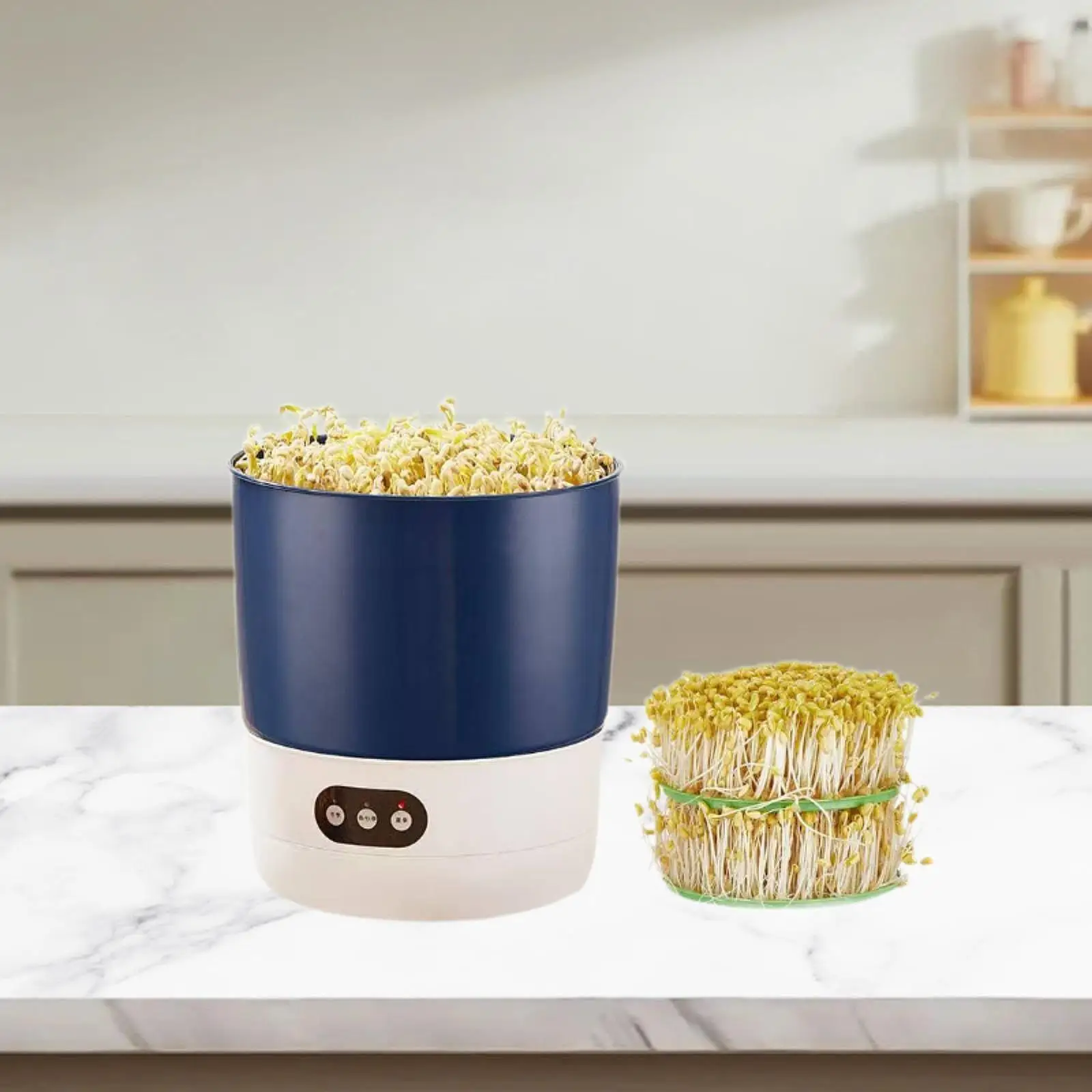 Máquina automática para hacer brotes de soja, diseño de dos capas, máquina de cultivo de vegetales de interior de PP Premium para dieta fresca