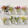 8pcs