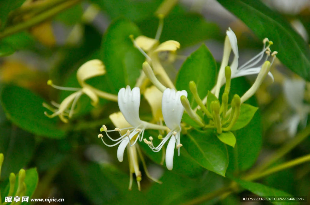 

Радиоуправляемый внедорожник C64-1 в масштабе 1:16, перезаряжаемый, 4WD, электрический, для скалолазания