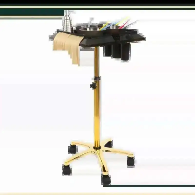 Professional Storage Trolley Furniture Cosmetic Wheels Beauty Salon Lash Hairdressers Nail Nails Salonkivaunu Work Tools