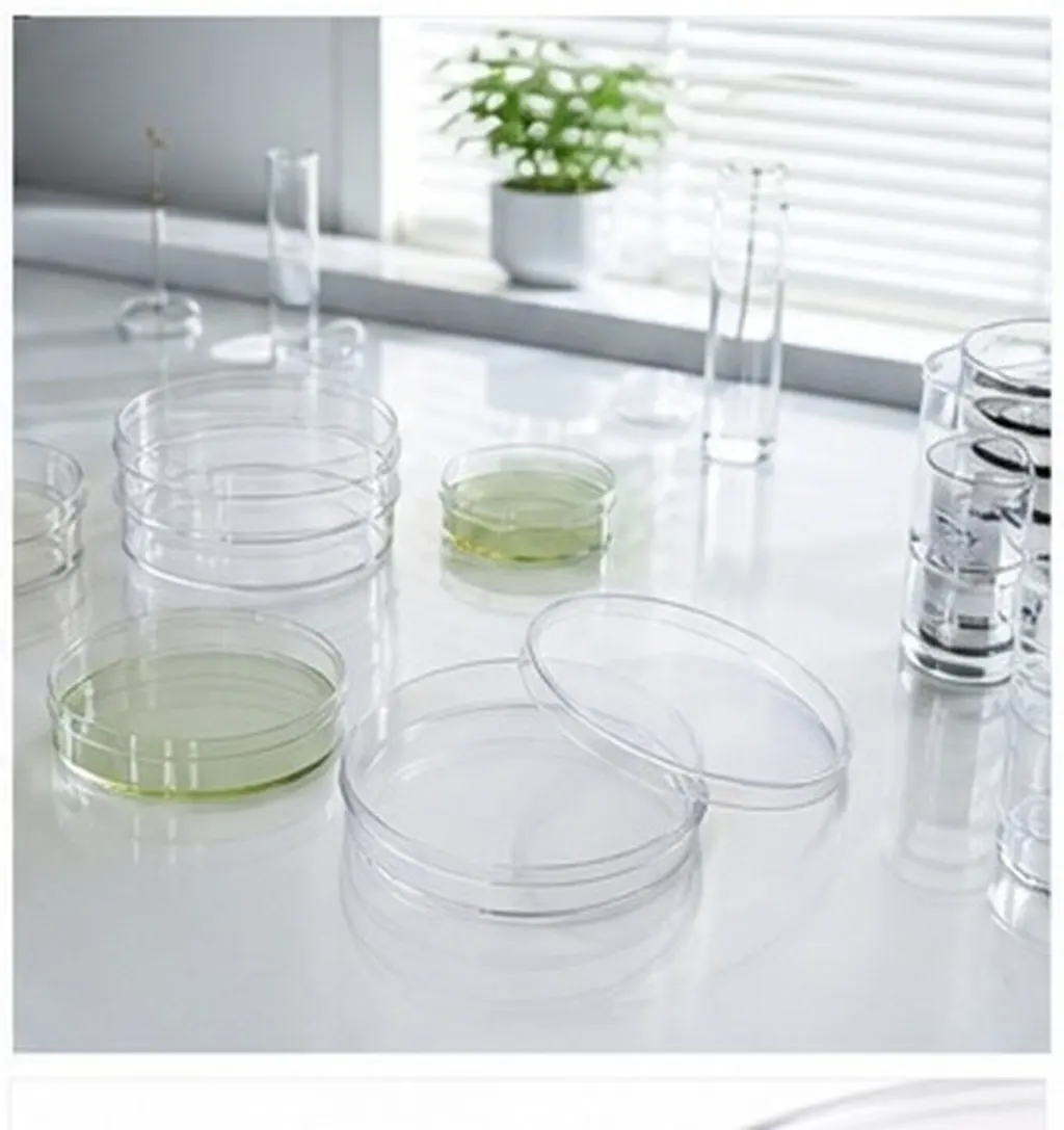 10Pcs Petri Dish with Cover Transparent Plastic Laboratory Petri Plates Multipurpose for Home School Research Chemistry