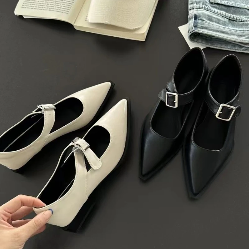 Spring Summer Pointed Toe Women Mary Jane Shoes Women Fashion Elegant Low Heel Shoes Ladies Casual Belt Buckle Pumps