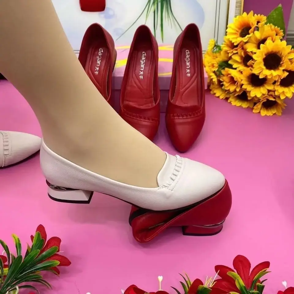 Spring Women Pumps Shoes Pointed Toe Women Flat Shoes Solid Color Slip On Casual Shoes Soft Comfort Pu Leather Chaussure Femme