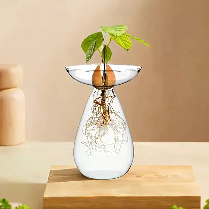 Colorful Transparent Avocado Hydroponic Vase Glass Avocado Seed Starter Vase Plant Seed Growing Kit Gardening Lovers Home Decor