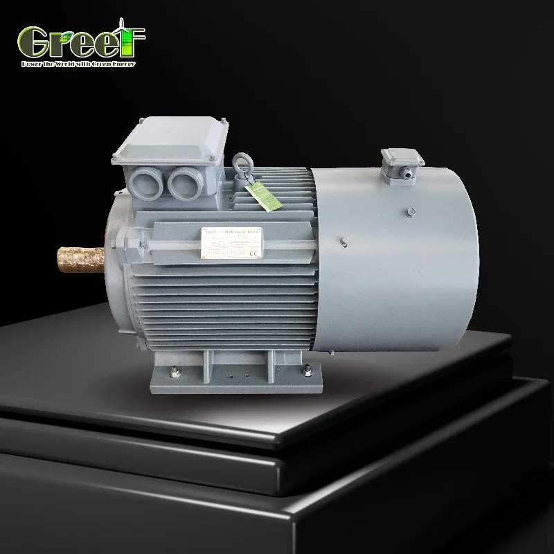 Renewable Energy Electric Motor with Permanent Magnet High Efficiency Motor