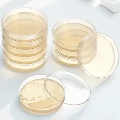 

20Pcs Tissue Culture Agar Plates Pre-Poured Sterile for Lab Use Science Projects Fast Growth Experimental Tools
