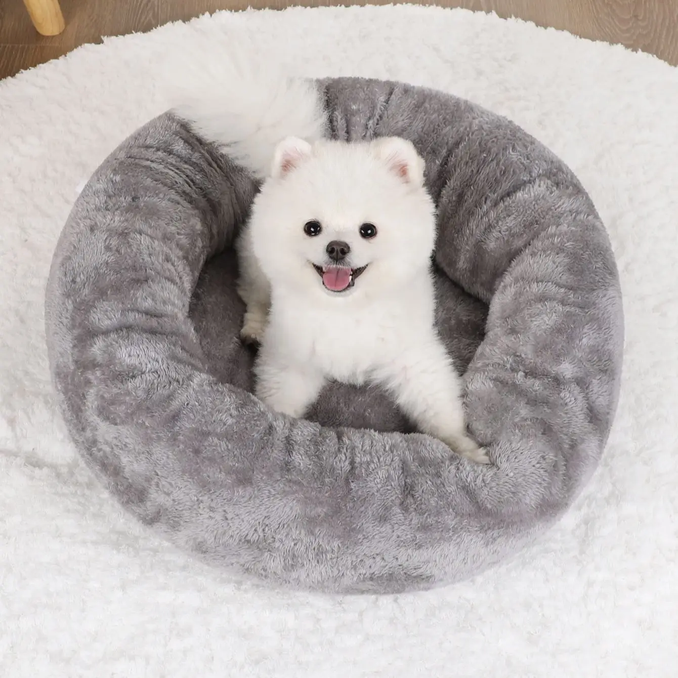 Pet Beds Cats Dog Bed Small Dog Fluffy Baskets Pet Supplies Pets Dogs Products Kennel Accessories Mat Puppy Cushions