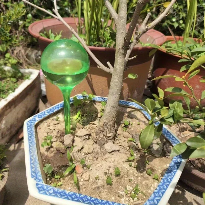 4 Stück Pflanzen-Selbstbewässerungskugeln Automatische Bewässerung Transparente Kunststoff-Pflanzenwasserkugeln Tropfbewässerungssystem für Haus, Garten, Blumen und Pflanzen – Detail 2