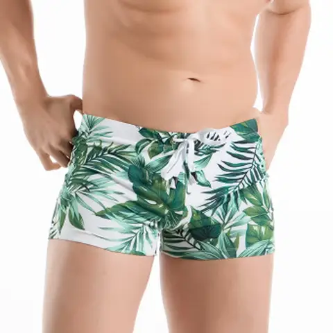 Summer Vacation Men's Palm Tree Print Drawstring Waist Board Shorts Fashion Swim Trunks 3D Print Breathable Short Streetwear