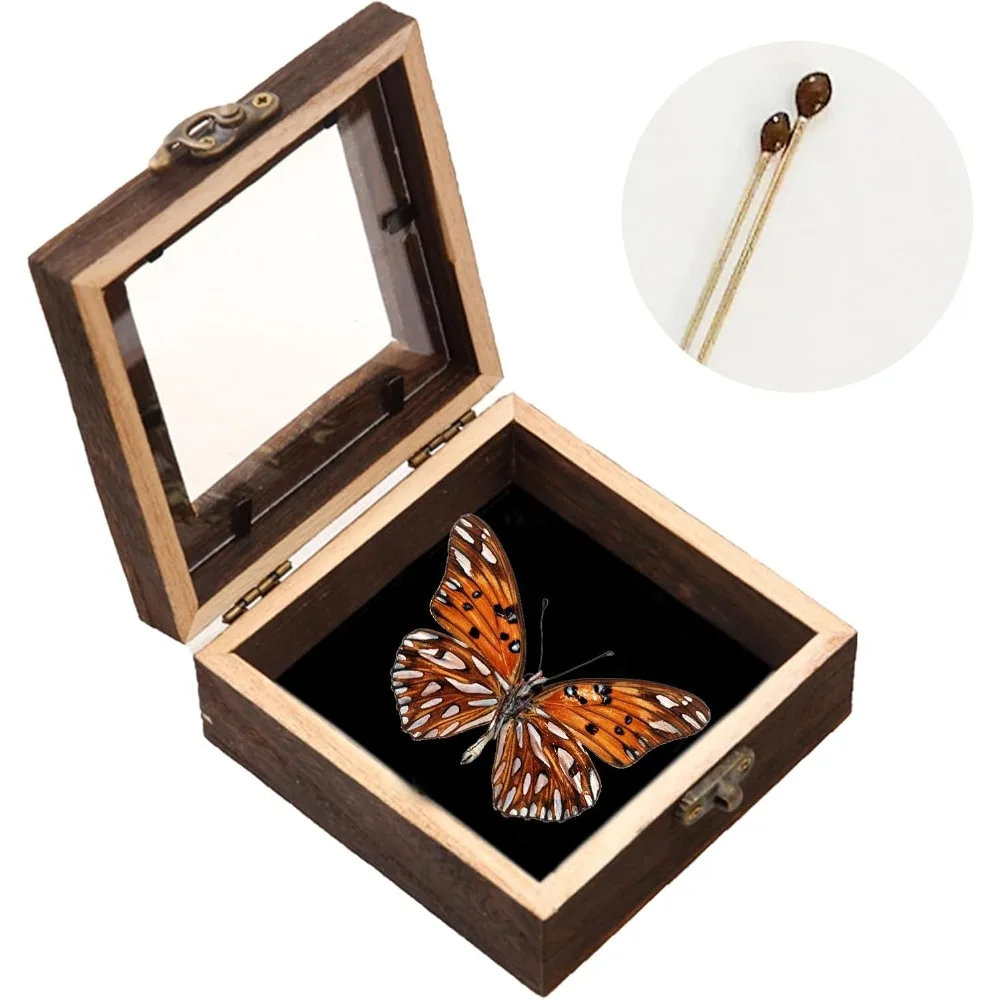 

витрина для бабочек, коробка для теней, набор для хранения бабочек, витрина для насекомых, витрина для насекомых, витрина для бабочек, насекомое