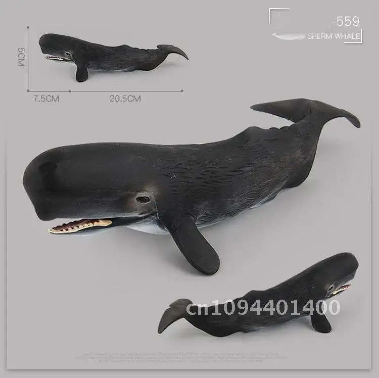 Jouet de simulation d'animaux marins pour enfants, grand requin, baleine, figurine, béluga, mégalodon dos, modèle