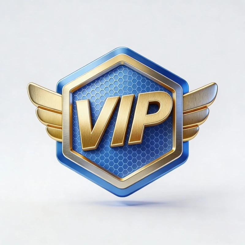 

VIP Please Pay for Your Order $0.1，Reissue The Product