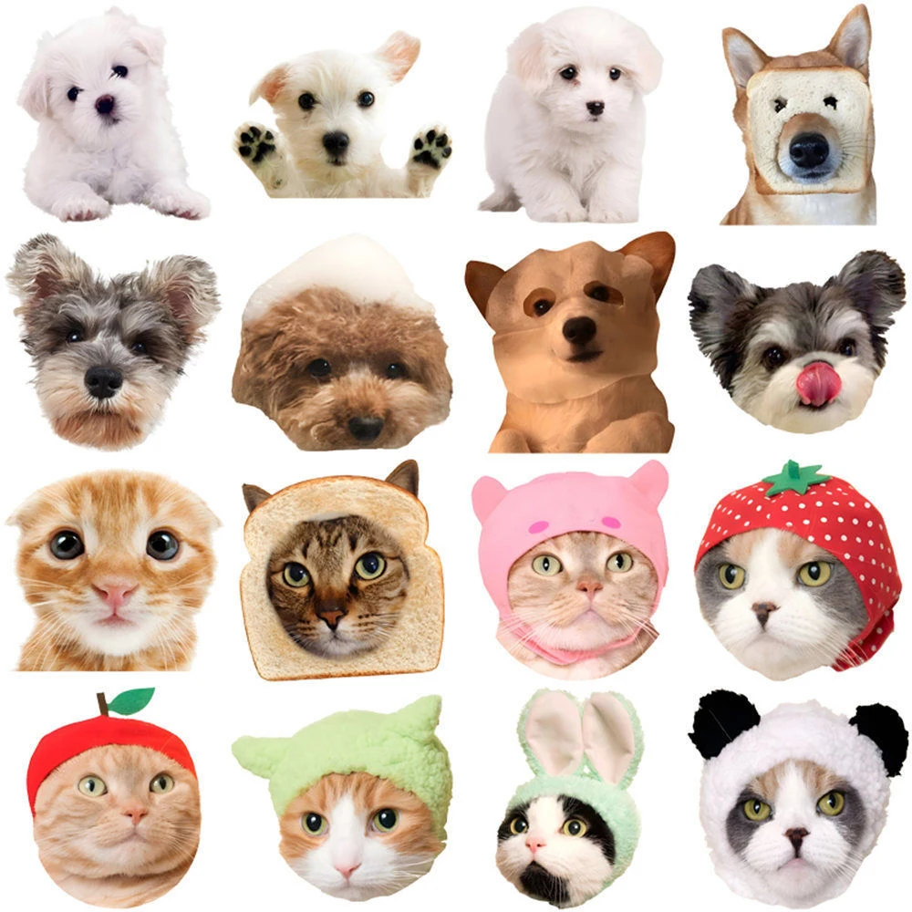 10/30/50pcs Funny Cat Dogs Meme Stickers Kawaii Kids Decals Toys Graffiti Luggage Laptop Phone Stationery Cute Cartoon Sticker