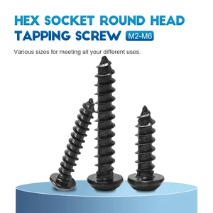 Nindejin-Parafuso Round Hexagoun des Knopfkopf 8 Hauptverkaufskupplung machen 250 - №7