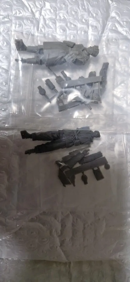 Buyer photo of this resin kit