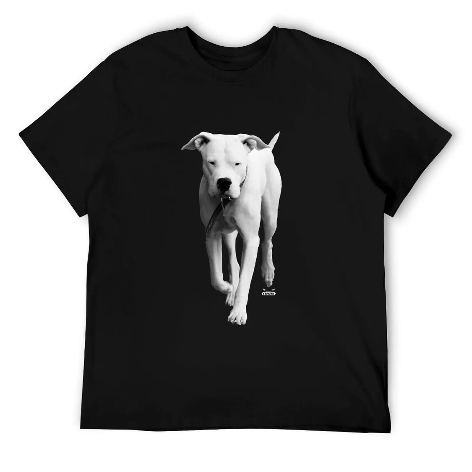 

Dogoentino/швейцарская футболка для фотосъемки, мужская футболка с рисунком, мужская футболка из хлопка, футболка из 100% хлопка