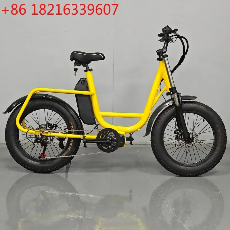 20 Inch Wide Tire Snow Electric Bicycle Electric Assist Bike