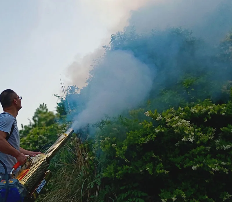 Imagem -05 - Titânio Gasolina Tubo Duplo Máquina de Desinfecção Nevoeiro tipo Pulso Névoa Água e Fumaça Dupla Utilização Efeito Estufa Trigo Frutas Pulverizador 80k