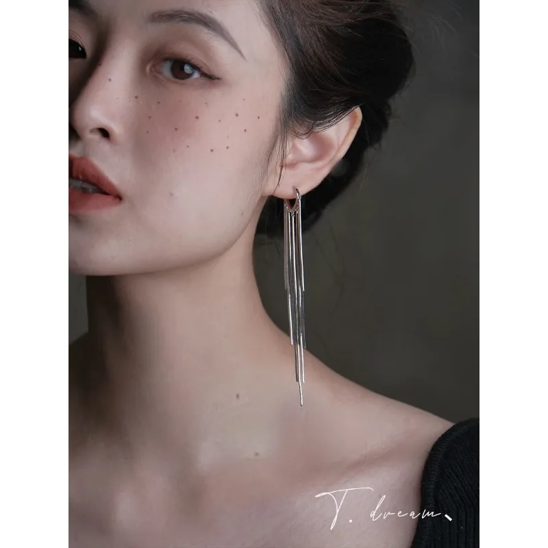 

Tassel long niche design sense high-end small 2025 new earrings stud earrings