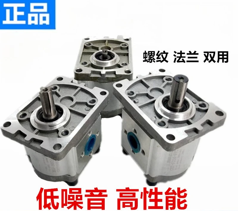 

Hydraulic Gear Pump Oil Pump CBN-E304, 306, 310, 314, 316, 320, 325 High Pressure Pump CBT-F