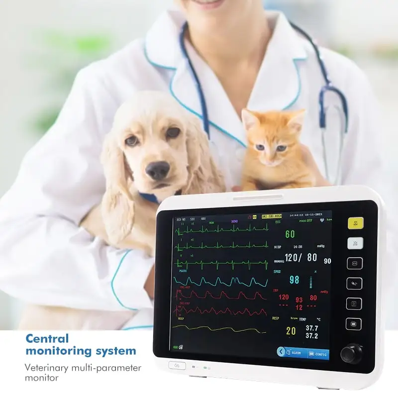 Animals Patient Monitor Hospital Use Touch-screen Vet Ecg Monitor Portable