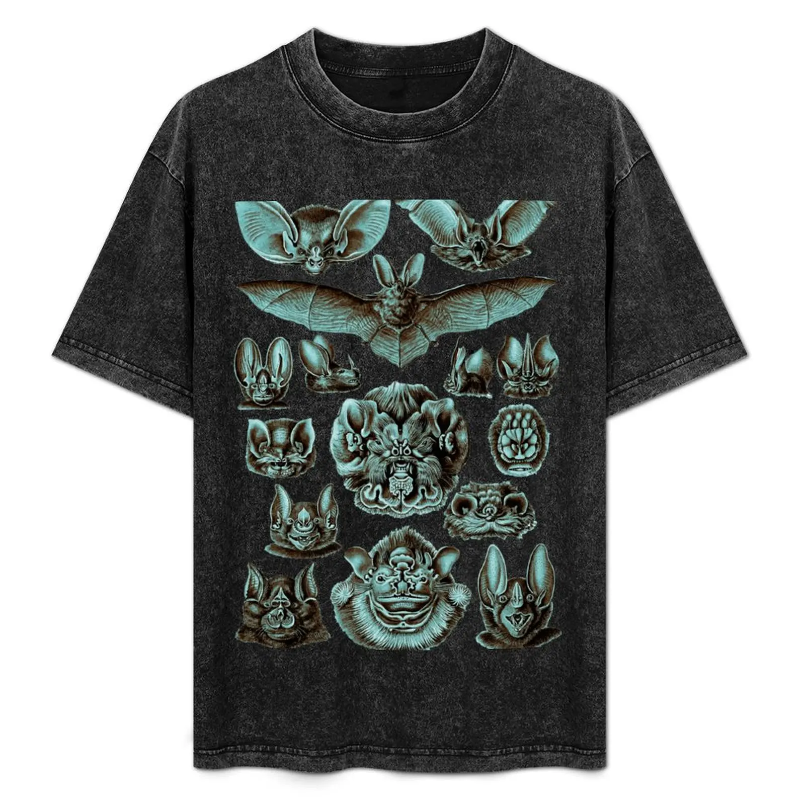 

Футболка Ernst Haeckel Bats Moonlight, спортивная базовая футболка, впитывающая влагу