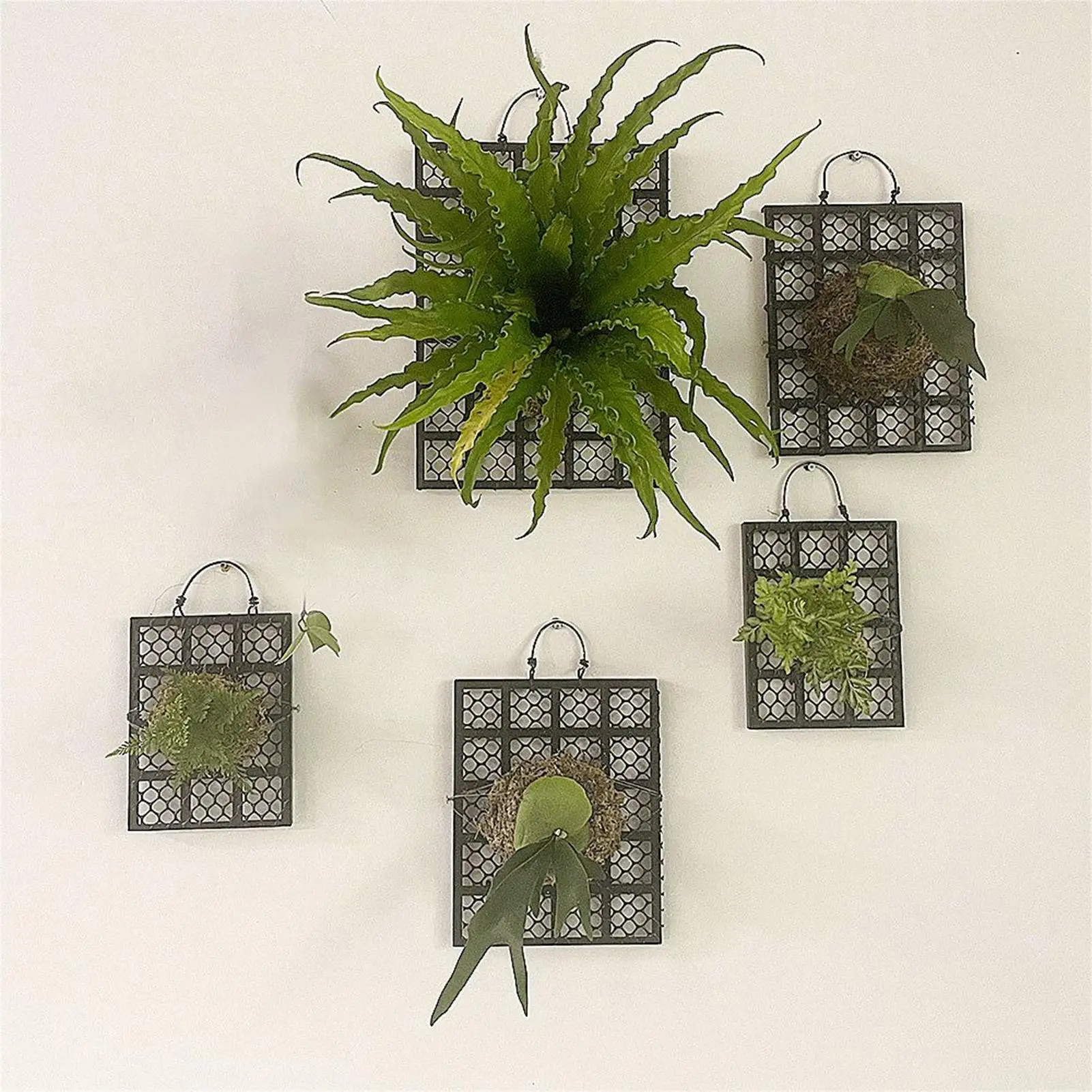 

Staghorn Fern Mount Vertical Plant Display Staghorn Holder Board Platycerium Orchids Mount Home Decor For Garden Indoor Outdoor