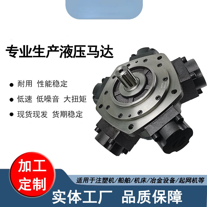 Customized injection molding machine hydraulic motor ZM series radial piston motor fishing boat oil motor