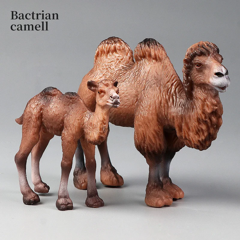 새로운 야생동물 세계 고체 시뮬레이션 낙타 동물 모델 세트 교육용 액션 피규어 장난감 어린이용