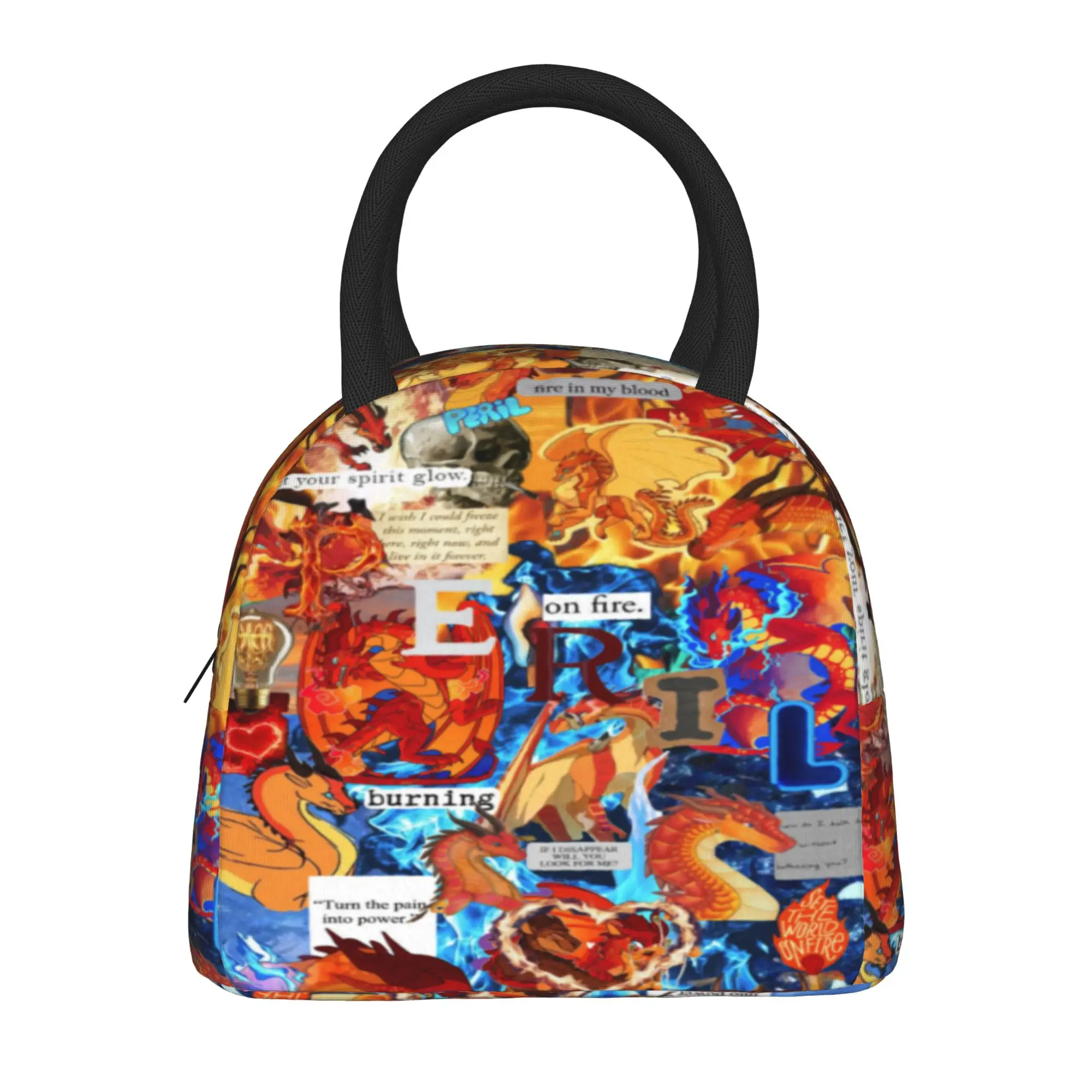 Lunch Box Wing Of Fire dragon Accessories  Storage Food Box New Arrival Cooler Thermal Bento Box For School