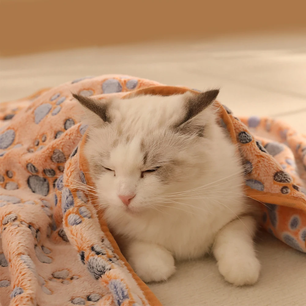 عالية الجودة لينة رقيق بطانية حيوانات أليفة لطيف الكلب القط باو طباعة سميكة المرجان الصوف البطانيات الحيوانات الأليفة حصيرة وسادة حرارية دافئة ومريحة #3