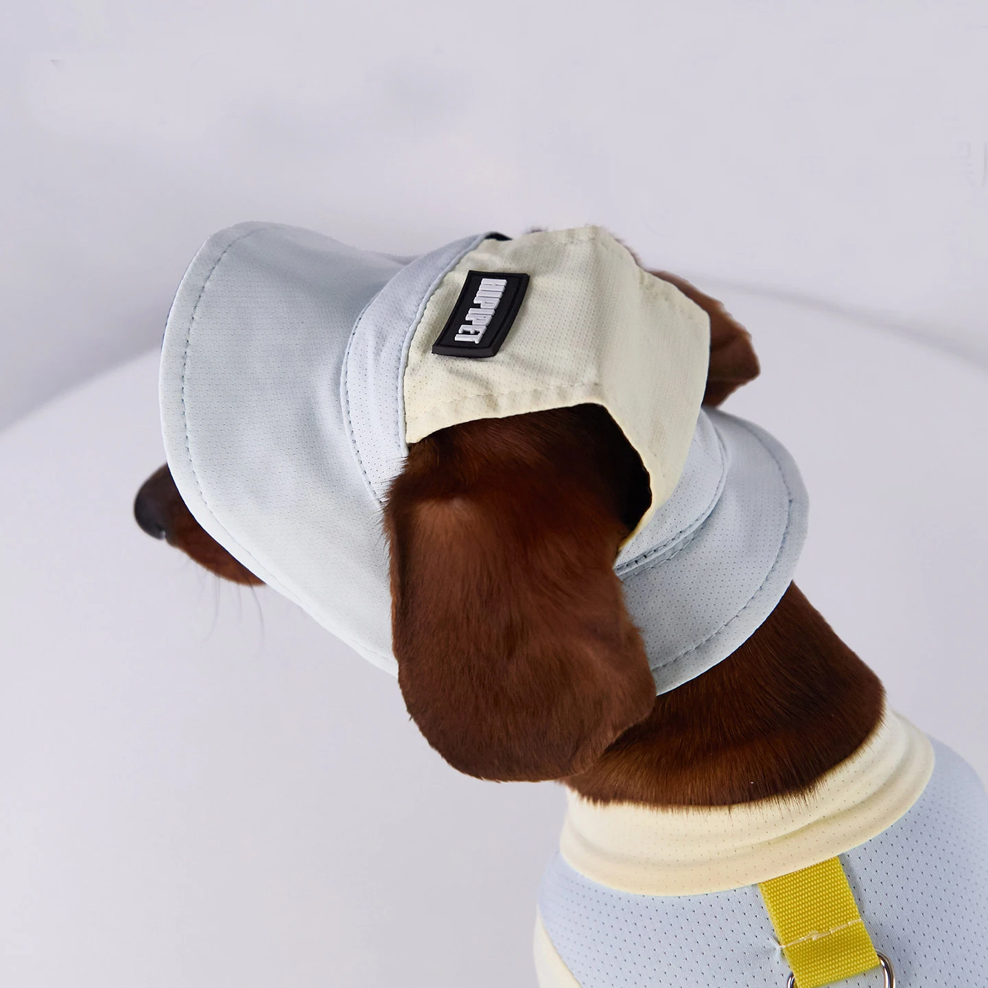 Gorra de sol con visera para perros cachorro - Ideal para exteriores