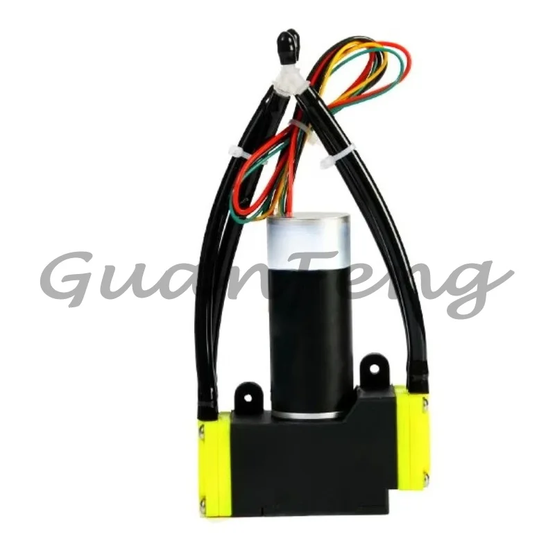 Flow Rate 10L/min 12v 24v Mini Double Head Oil-Free Vacuum Air Brushless Diaphragm
