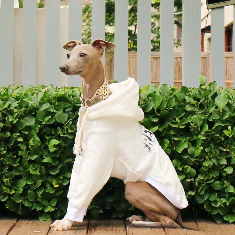 

Одежда для собак: осенне-зимняя тонкая толстовка для итальянских грейхаундов и уипбитов, спортивный стиль, тонкая толстовка для собак пород Беллингтон, пальто для домашних животных