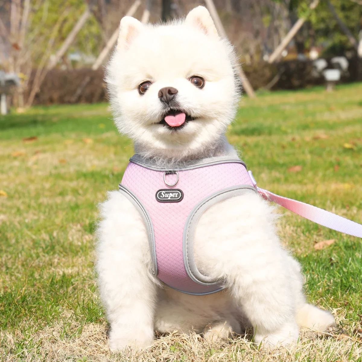 1pcs Pet Step-in Dog Harness Breathable Dog Vest Harness for Cats Puppy Reflective Soft Dog Harness for Small Medium Dog