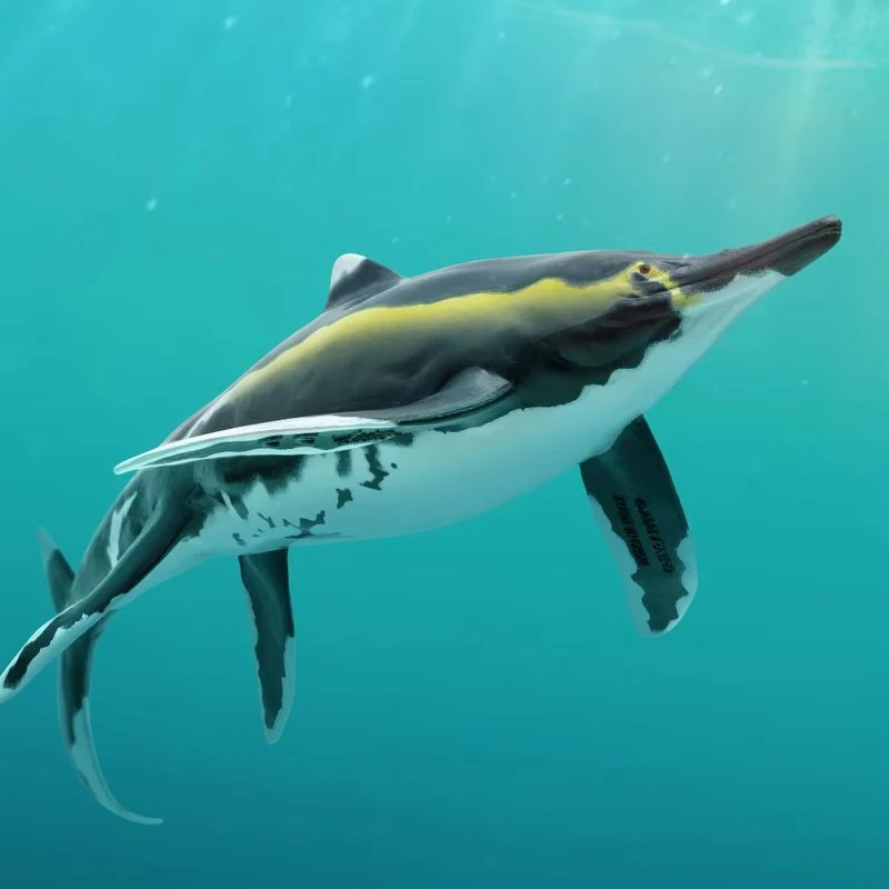 

Prehistoric Animal Models 90 Youran the Guizhouichthyosaurus Toy With A3 Poster 56 Pages Manual Video Program For Kids