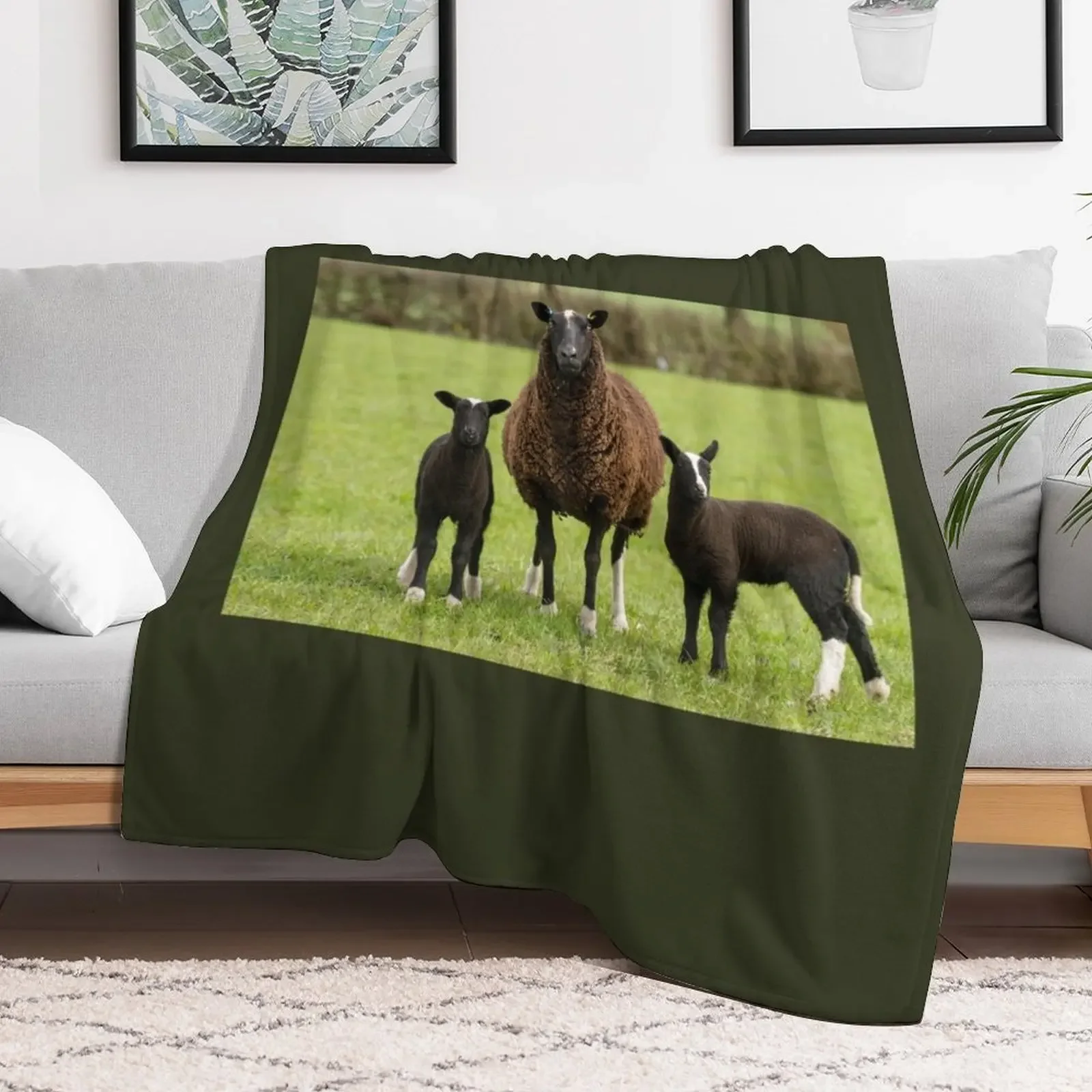 Zwartbles Sheep and Lambs Throw Blanket Compact Warm Blanket for Car Road Trip