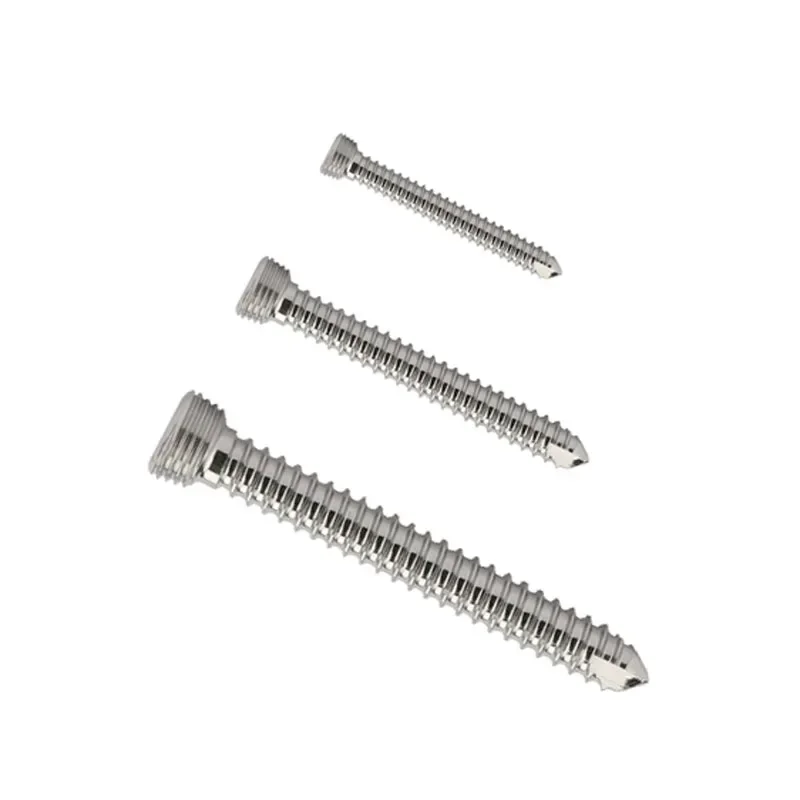 10pcs Stainless Steel  Self-tapping Lock Screws For Small Animals And Pets