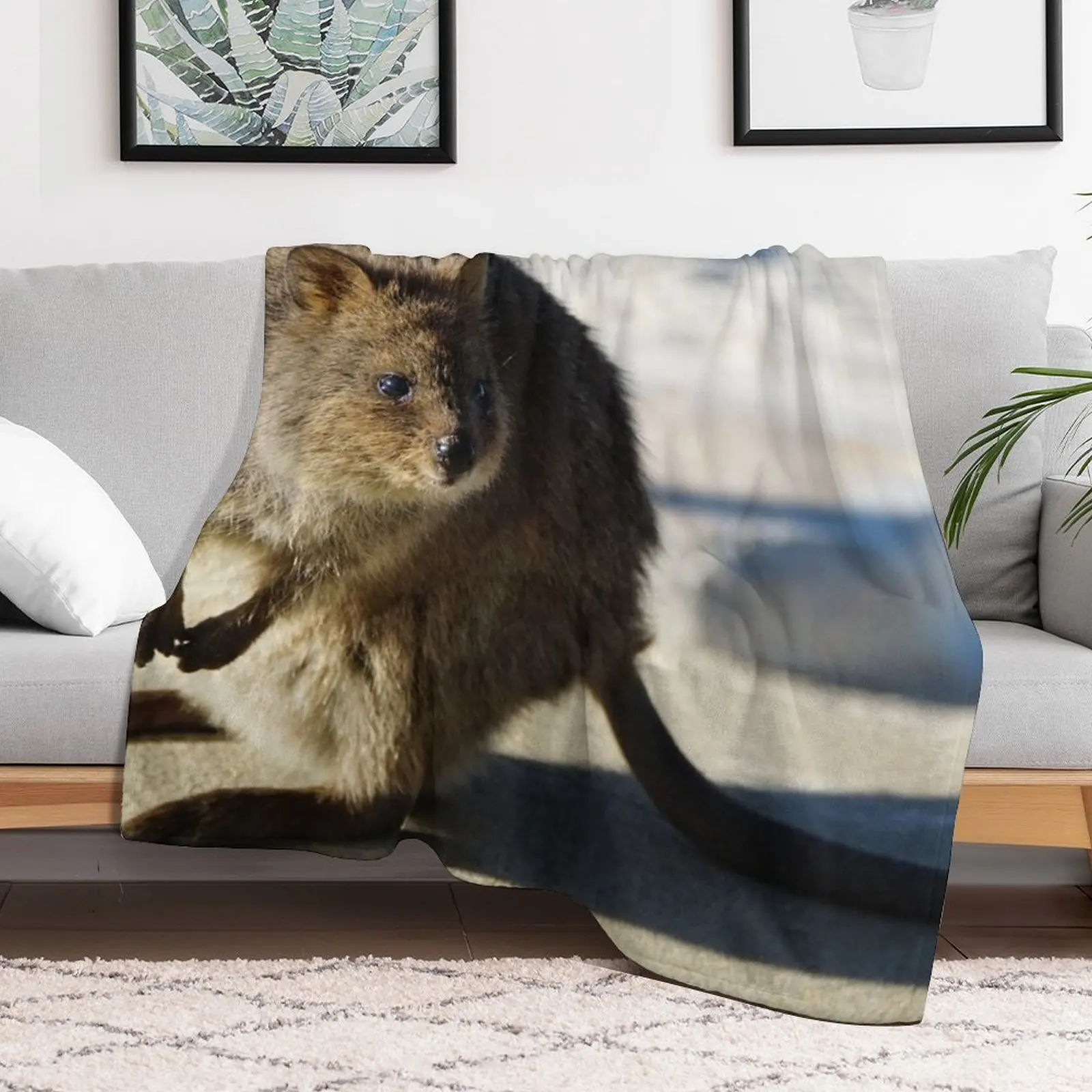 New Rottnest Quokka Throw Blanket Furrys Furry Blankets