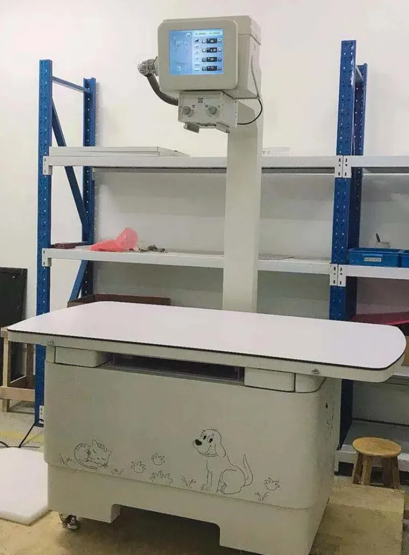 High Demand Hospital Medical Veterinary Equipment Precision Professional Grade Portable Digital X-ray Machine for Pet VXM1100