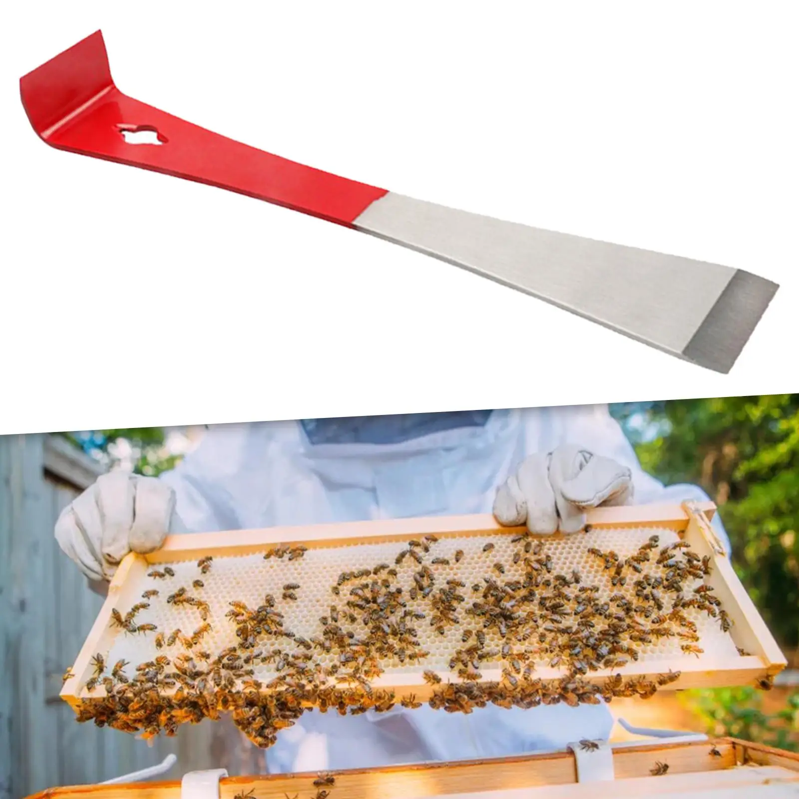 Beekeeping Hive Scraper Tool Metal Sturdy Multifunctional Professional Lifting Frames Bee Hive Frame Lifter Beekeeper Equipment