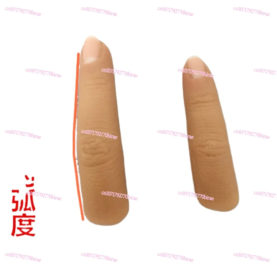 

Prosthetic Artificial Fingers, Silicone Gloves, Silicone Finger Cots, Provide Data Customization Products